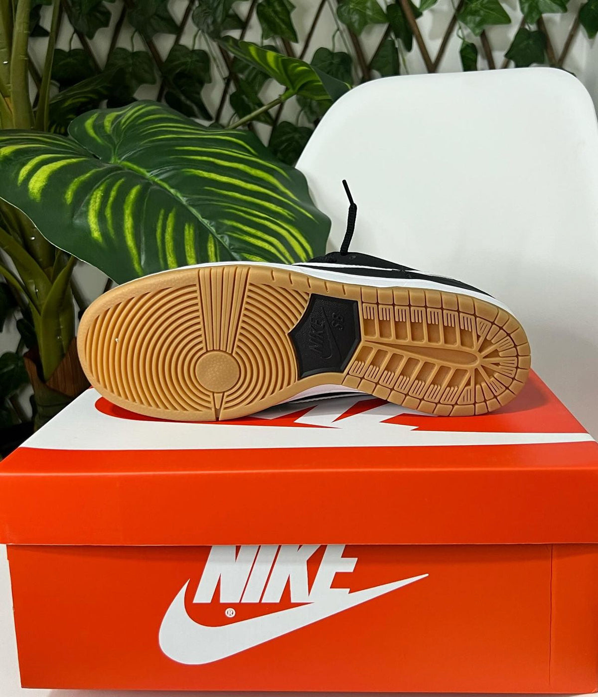 NIKE SB DUNK NEGRA - BLANCA